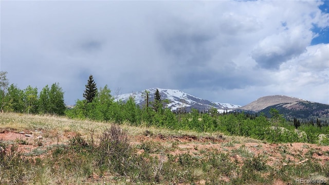 562 Palmer Peak Dr, Fairplay, CO 80440 - photo 47