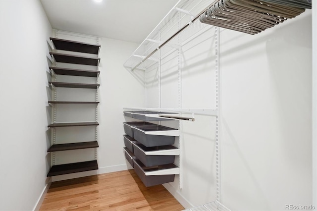 spacious closet featuring wood-type flooring