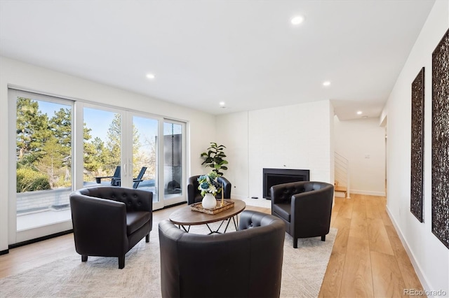 living room with a large fireplace and light hardwood / wood-style flooring