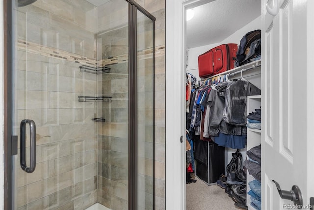 5332 S Lisbon Way, Centennial, CO 80015 - full bathroom featuring a walk in closet and a shower stall