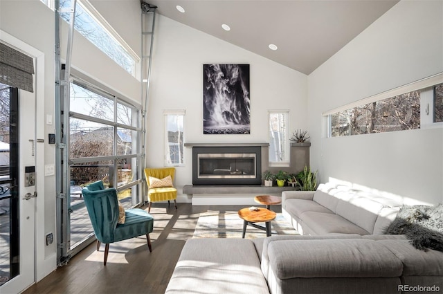 living area featuring a glass covered fireplace, plenty of natural light, dark wood-style flooring, and high vaulted ceiling