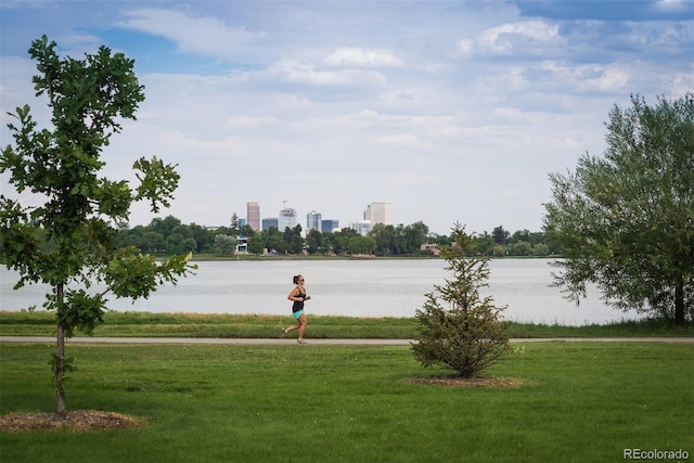 surrounding community with a city view, a yard, and a water view