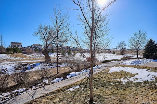 view of yard layered in snow