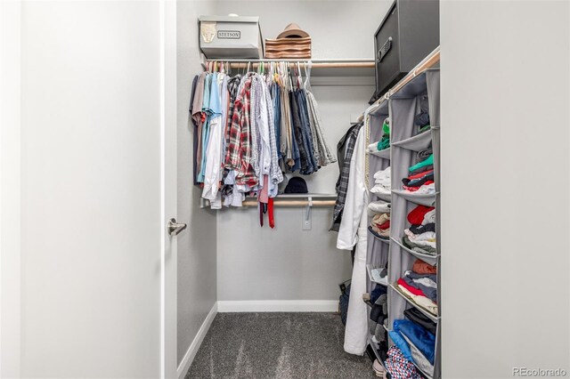 walk in closet featuring carpet flooring