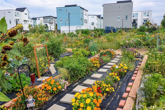 view of property's community with a residential view and a vegetable garden