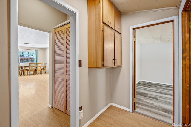 15071 County Road 306, Buena Vista, CO 81211 - corridor with light wood-type flooring and baseboards