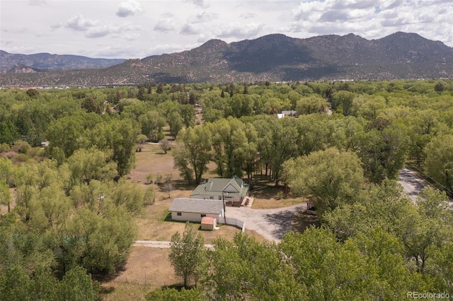 15071 County Road 306, Buena Vista, CO 81211 - view from above of property with a mountainous background