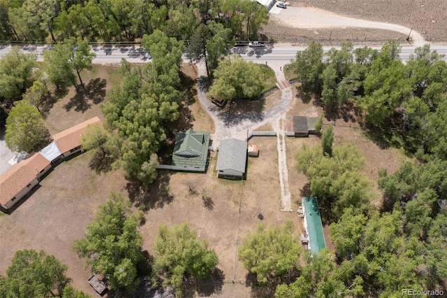 15071 County Road 306, Buena Vista, CO 81211 - view of property location
