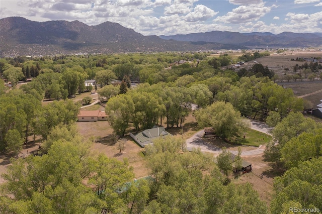 15071 County Road 306, Buena Vista, CO 81211 - mountain view