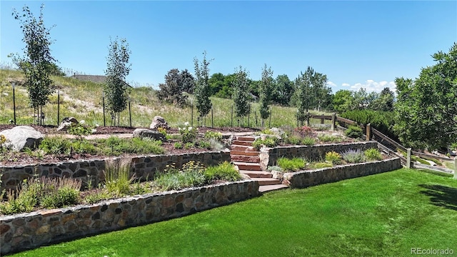 9992 Cottoncreek Dr, Highlands Ranch, CO 80130 - view of green lawn