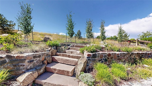 9992 Cottoncreek Dr, Highlands Ranch, CO 80130 - view of yard