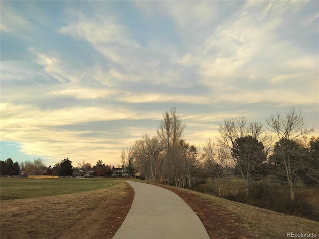 view of property's community with a yard