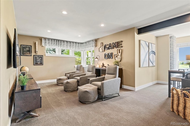 10826 Evergold Way, Highlands Ranch, CO 80126 - photo 26