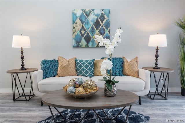 living area featuring hardwood / wood-style floors