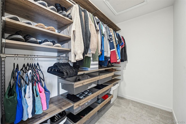 spacious closet featuring light colored carpet