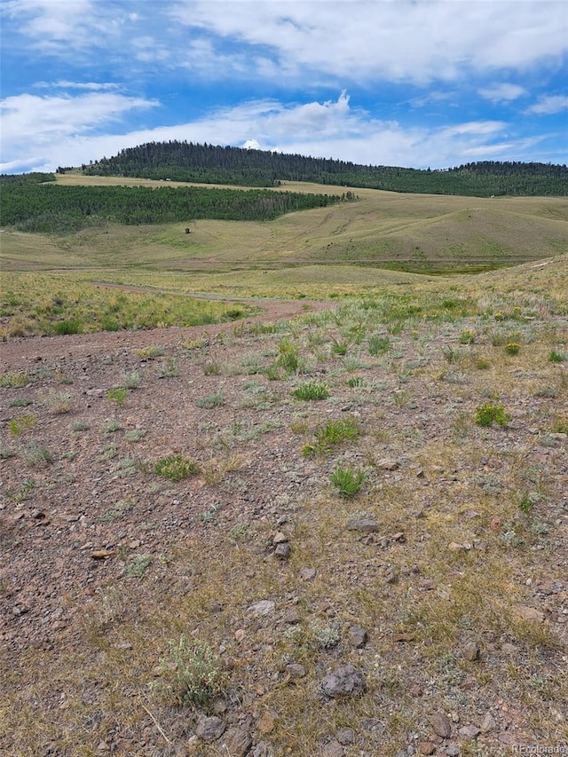 00 Watonga Rd, Hartsel, CO 80449 - photo 6