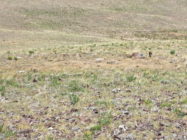 00 Watonga Rd, Hartsel, CO 80449 - photo 9