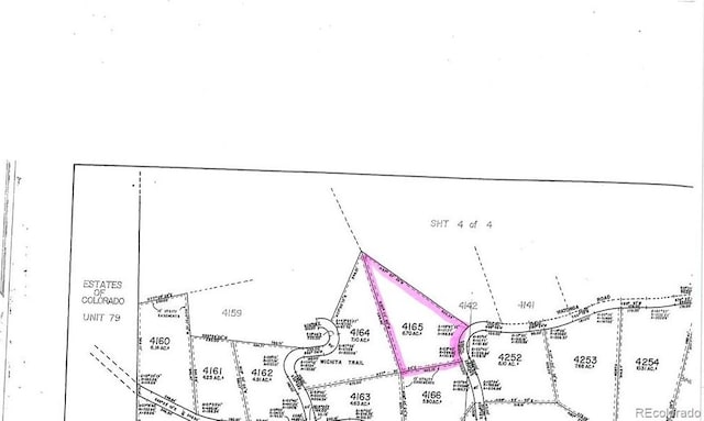 00 Watonga Rd, Hartsel, CO 80449 - photo 19