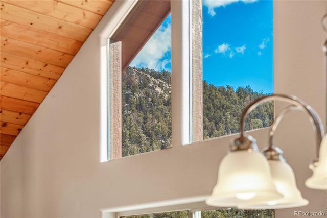 1840 Ute Trl, Como, CO 80432 - detailed view of wood ceiling and a forest