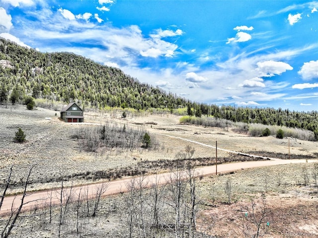 1840 Ute Trl, Como, CO 80432 - view of mountain backdrop with a forest and rural landscape