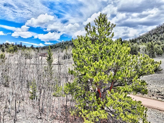 1840 Ute Trl, Como, CO 80432 - mountain view with a forest