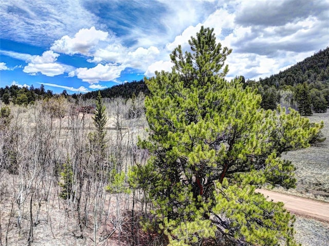 1840 Ute Trl, Como, CO 80432 - view of mountain backdrop with a heavily wooded area