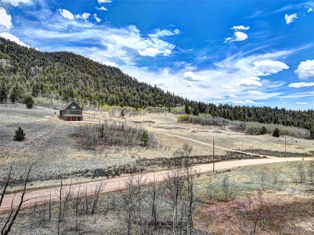 1840 Ute Trl, Como, CO 80432 - mountain view with a forest and rural landscape