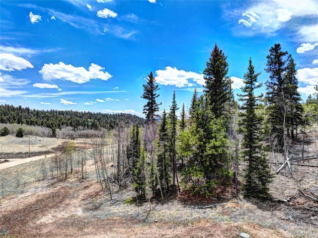 1840 Ute Trl, Como, CO 80432 - view of woods