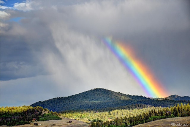 1840 Ute Trl, Como, CO 80432 - mountain view featuring a forest