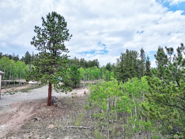 1840 Ute Trl, Como, CO 80432 - photo 17