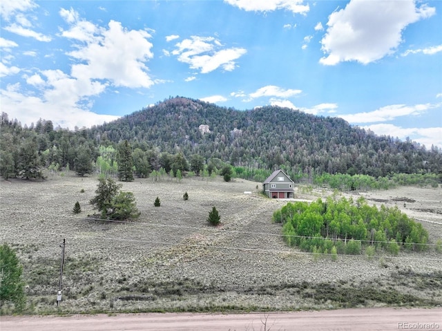 1840 Ute Trl, Como, CO 80432 - photo 18