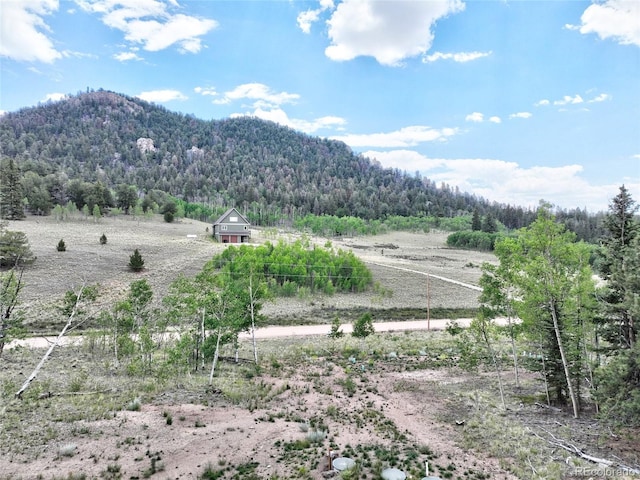 1840 Ute Trl, Como, CO 80432 - photo 32