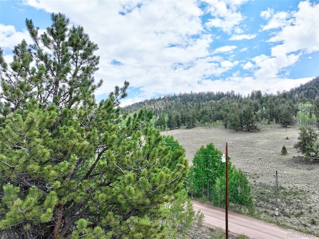 1840 Ute Trl, Como, CO 80432 - photo 33