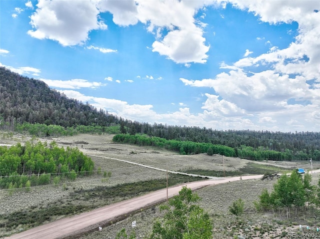 1840 Ute Trl, Como, CO 80432 - photo 40