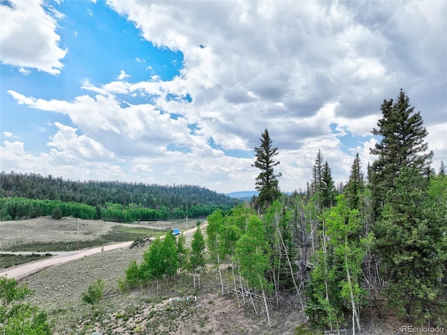 1840 Ute Trl, Como, CO 80432 - photo 41