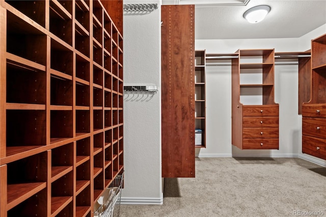 spacious closet featuring carpet