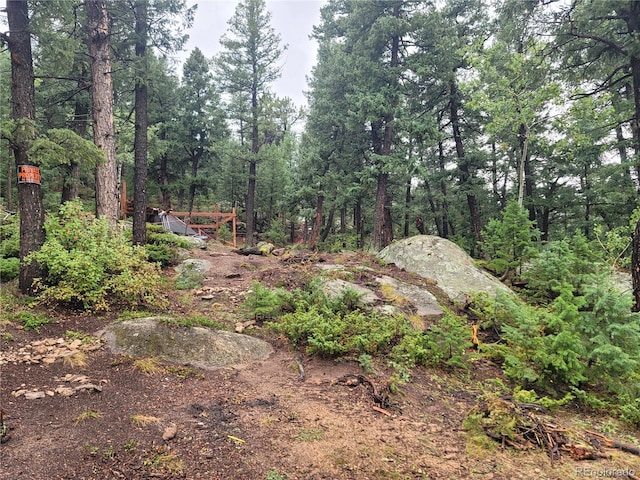 Fern Gulch, Evergreen CO, 80439 land for sale