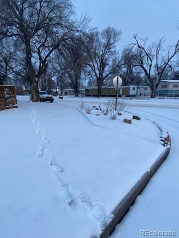 view of snowy yard