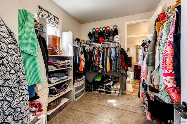 2115 Holmby Ct, Castle Rock, CO 80104 - spacious closet featuring carpet flooring