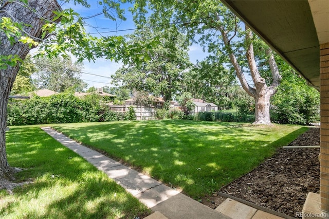 1637 S Stuart St, Denver, CO 80219 - view of yard