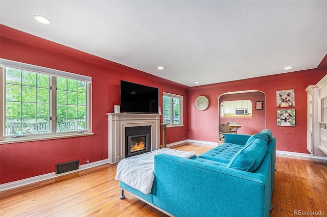 1900 Magnolia St, Denver, CO 80220 - living area with wood finished floors, a glass covered fireplace, arched walkways, baseboards, and recessed lighting