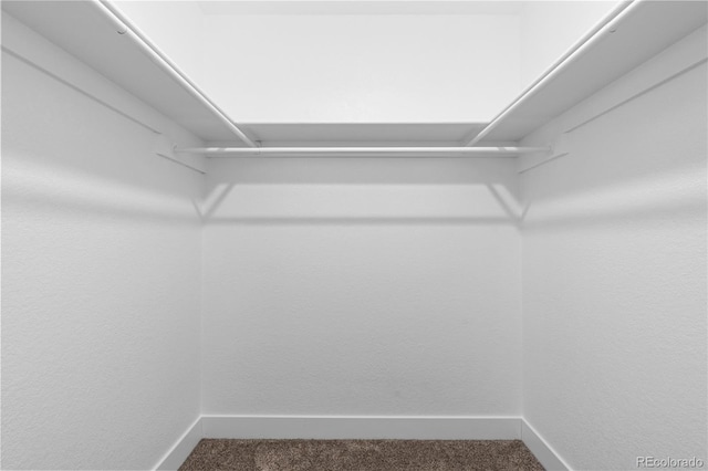 spacious closet featuring dark colored carpet