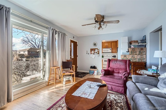 living room featuring ceiling fan and light hardwood / wood-style floors