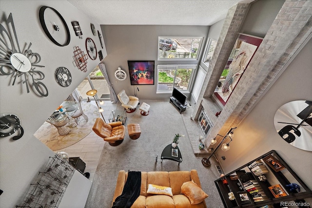 carpeted living area featuring a textured ceiling, baseboards, and a wealth of natural light
