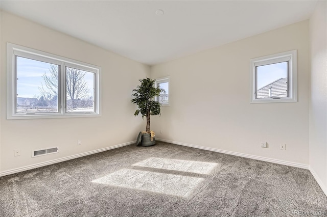 carpeted spare room featuring a wealth of natural light