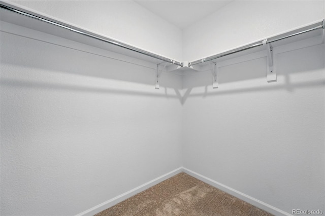 17123 W 91st Ln, Arvada, CO 80007 - spacious closet featuring carpet floors