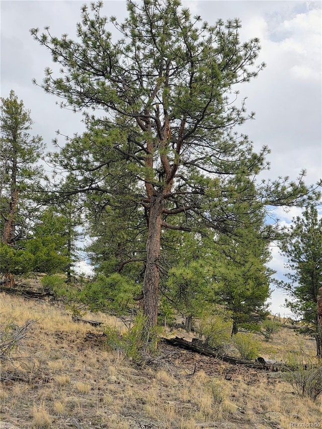 2182 Puma Hills Rd, Hartsel, CO 80449