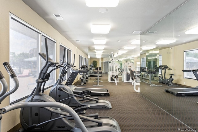 1831 S Dunkirk St Unit 103, Aurora, CO 80017 - view of workout area