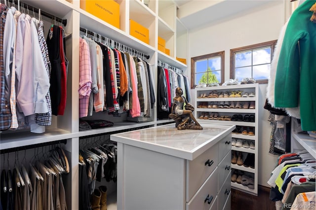 8000 Raphael Ln, Littleton, CO 80125 - spacious closet with wood finished floors