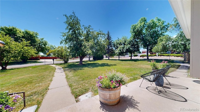 9629 Yukon Ct, Westminster, CO 80021 - view of grassy yard